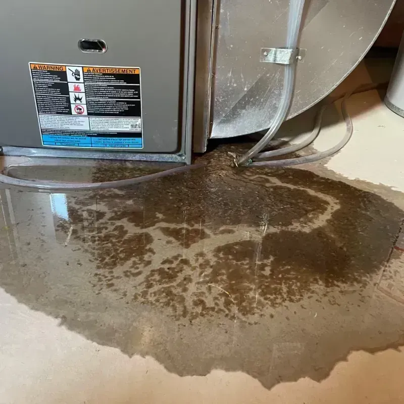 Appliance Leak Cleanup in New Castle, KY